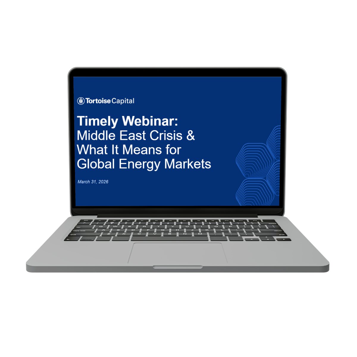tortoise laptop - timely webinar tortoise laptop - timely webinar